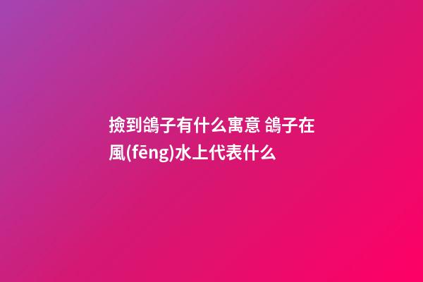 撿到鴿子有什么寓意 鴿子在風(fēng)水上代表什么